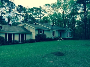 Big Moose Pressure Cleaning - Lake City, GA