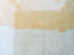 Big Moose Pressure Cleaning – Irondale, GA