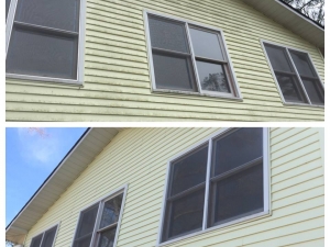 Big Moose Pressure Cleaning - Peachtree City, GA