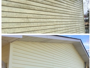 Big Moose Pressure Cleaning – Jackson, GA