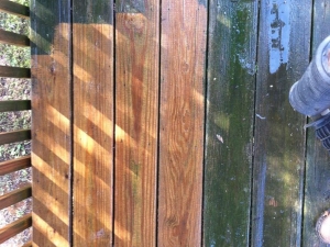 Big Moose Pressure Cleaning – Flovilla, GA