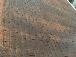 Big Moose Pressure Cleaning – Mansfield, GA