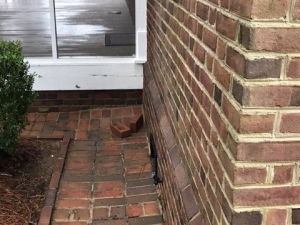 Big Moose Pressure Cleaning - Sunny Side, GA