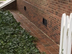 Big Moose Pressure Cleaning – Experiment, GA