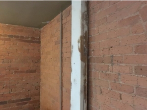 Big Moose Pressure Cleaning – Aldora, GA