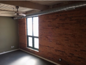 Big Moose Pressure Cleaning – Hampton, GA