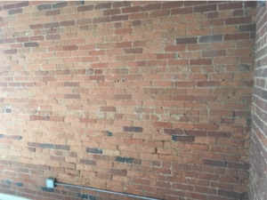 Big Moose Pressure Cleaning – Blacksville, GA