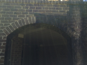 Big Moose Pressure Cleaning - Orchard Hill, GA