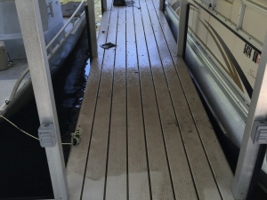 Big Moose Pressure Cleaning - Sunny Side, GA