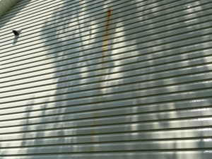 Big Moose Pressure Cleaning - Lakeview Estates, GA