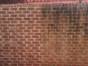 Big Moose Pressure Cleaning – Jonesboro, GA