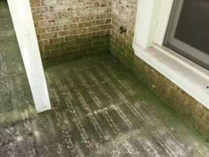 Big Moose Pressure Cleaning – Tyrone, GA