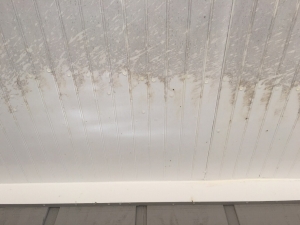 Big Moose Pressure Cleaning – Williamson, GA