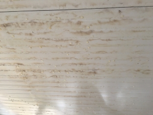 Big Moose Pressure Cleaning – Hilltop, GA