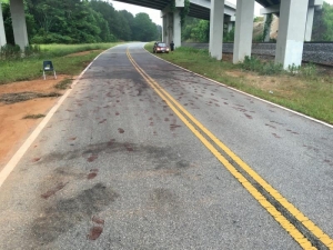 Big Moose Pressure Cleaning – Monticello, GA