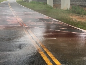 Big Moose Pressure Cleaning – Barnesville, GA