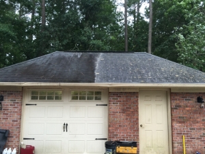 Big Moose Pressure Cleaning – Tyrone, GA